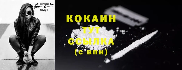 гидра Вяземский