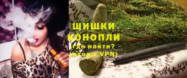 гидра Вяземский