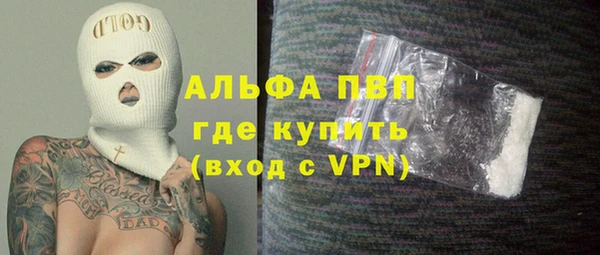гидра Вяземский