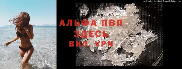 гидра Вяземский