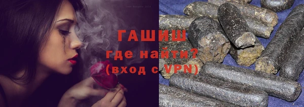 гидра Вяземский
